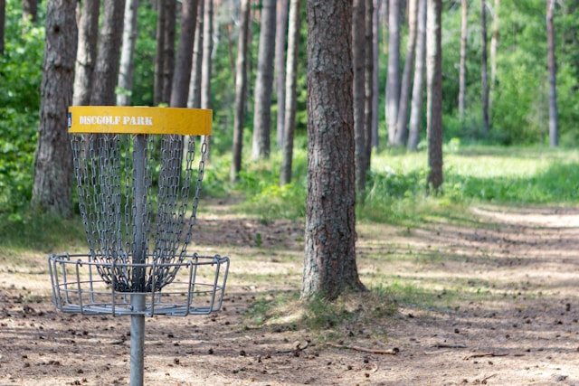 discgolf kurv